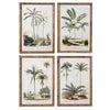 Set of 4 Palm tree framed pictures -Pre- order