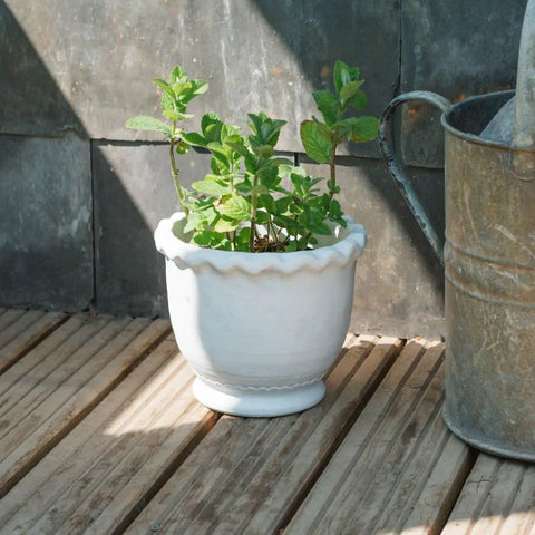 Fluted plant pot - collection only