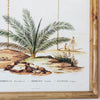 Set of 4 Palm tree framed pictures -Pre- order