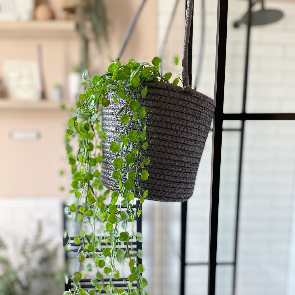 Grey hanging basket