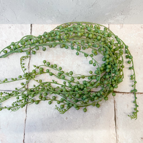 Faux string of pearls plant