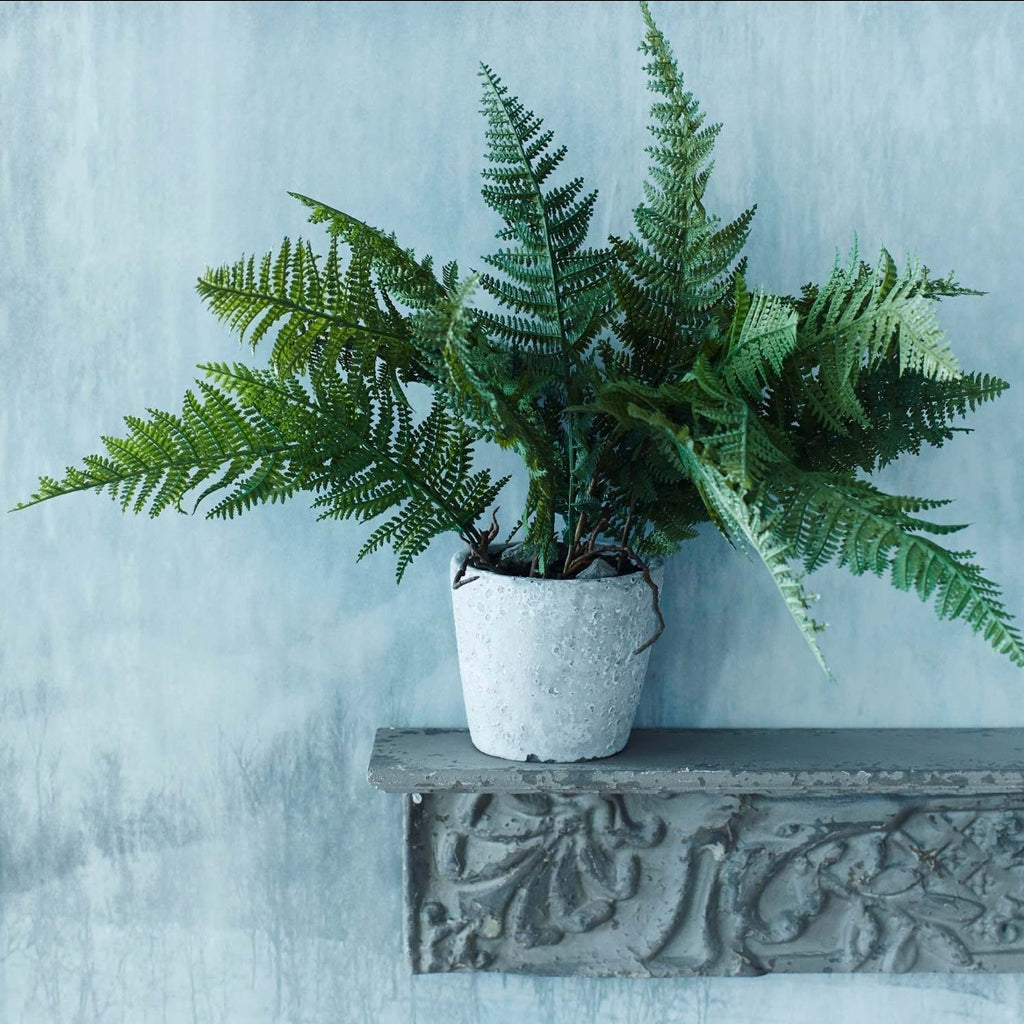 Delicate faux fern in concrete pot