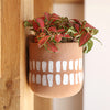 Wall hanging plant pot