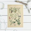 Collection of Vintage floral image - 3 sizes available